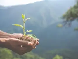 Image for article: Euforia ESG dan ancaman segitiga penipuan