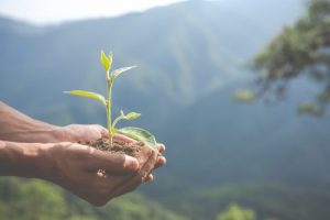 Featured image for: Euforia ESG dan ancaman segitiga penipuan